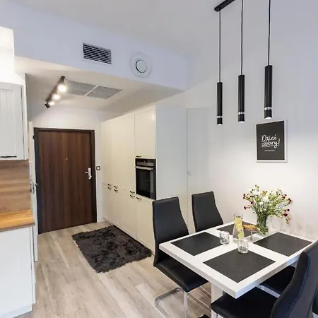Franko - Hanza Tower Apartmán Štetín
